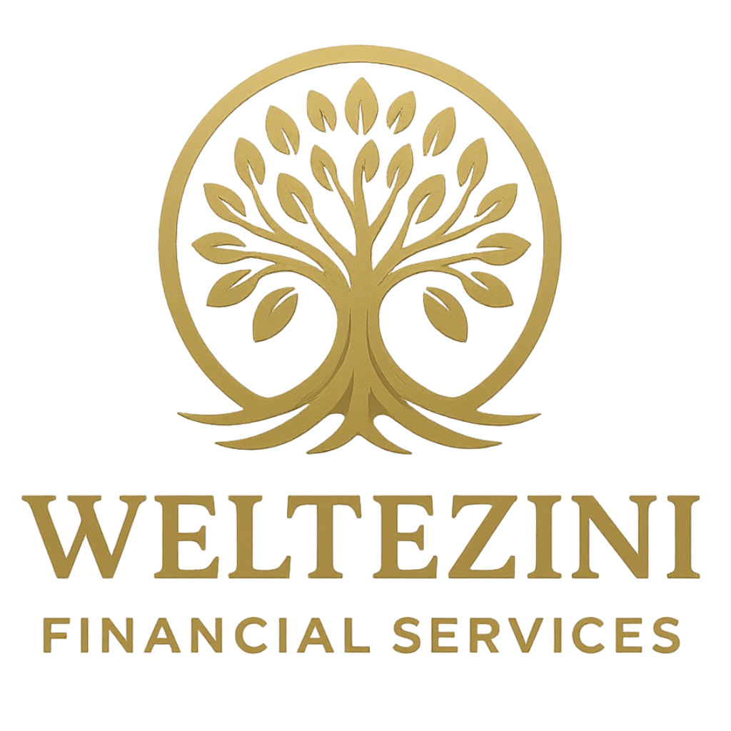 Weltezini Financial Services Logo